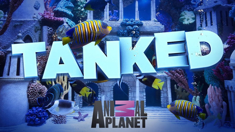 Tanked still 7