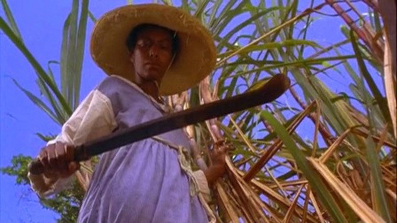 Sankofa still 4