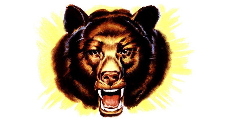 Bear Country still 3