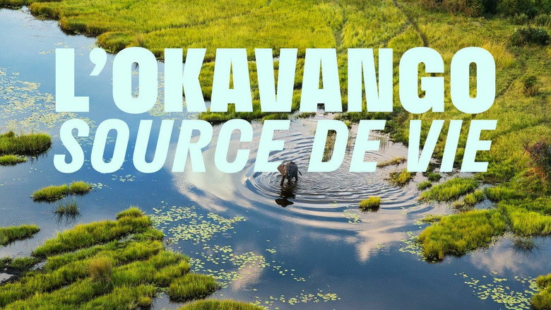 Okavango: A Flood of Life still 2
