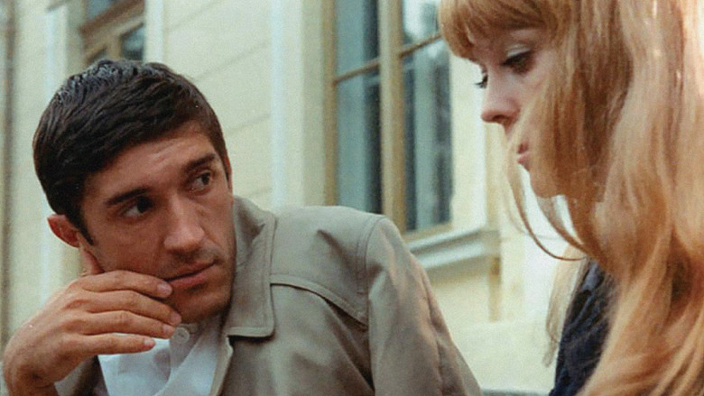 Red Apples still 1