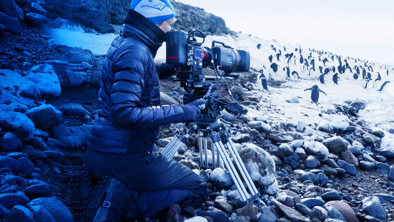 Penguins: Life on the Edge still 2