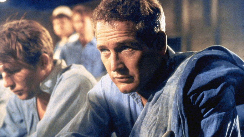Paul Newman: The Restless still 3