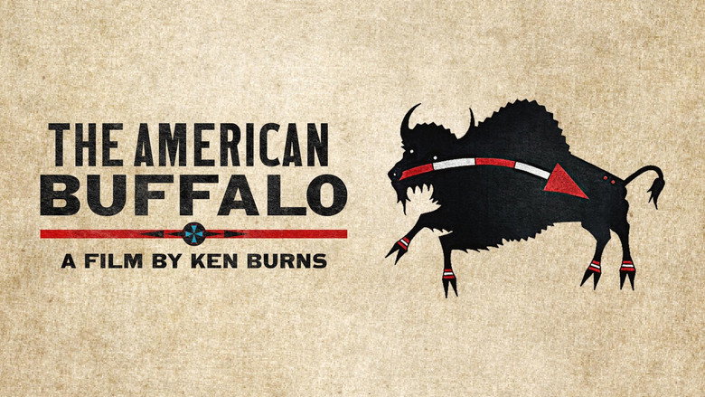 The American Buffalo still 1