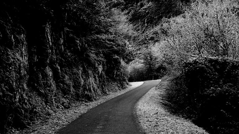 Praise of the Distance still 1