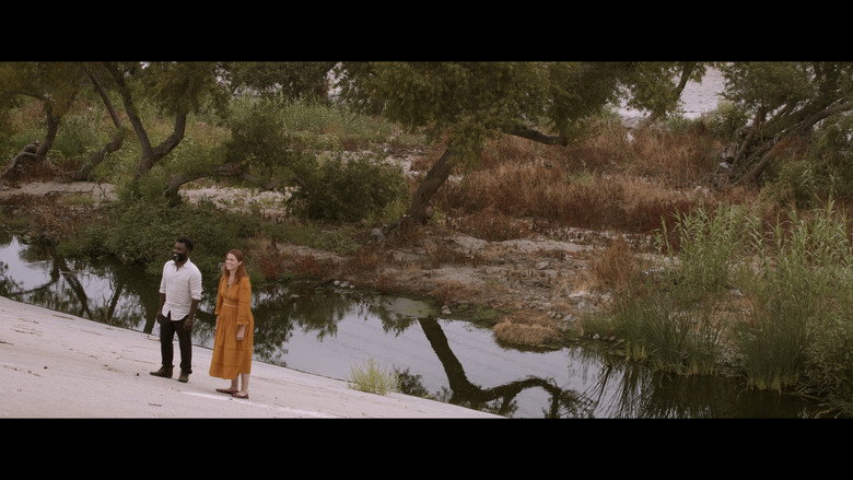 Driftwood still 3