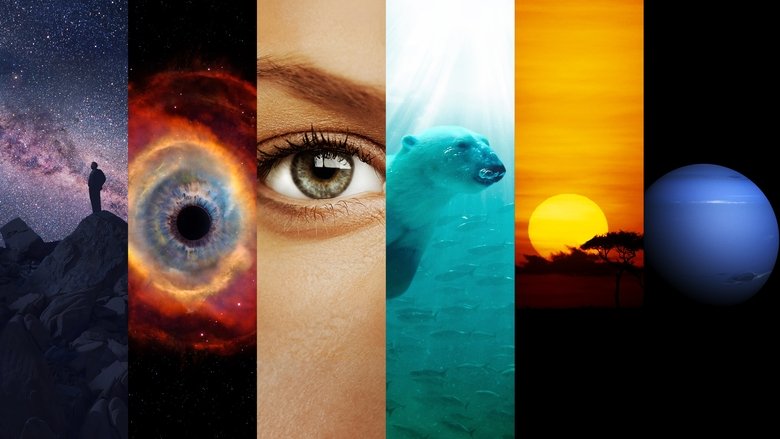Cosmos still 1
