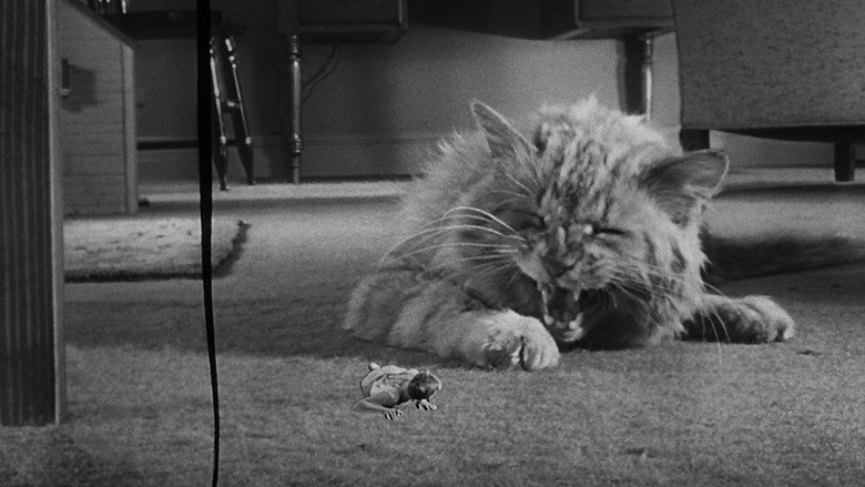 The Incredible Shrinking Man still 4