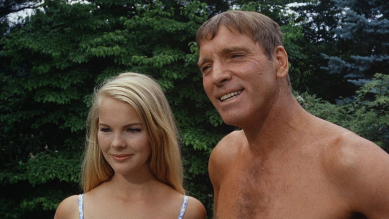 The Swimmer still 6