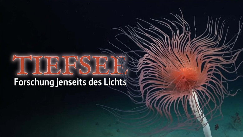 Deep sea exploration : the last frontiers on Earth still 6
