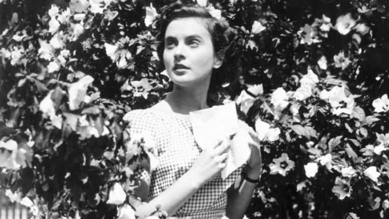 Vesna still 1