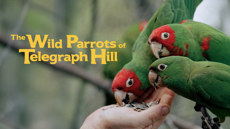 The Wild Parrots of Telegraph Hill still 4