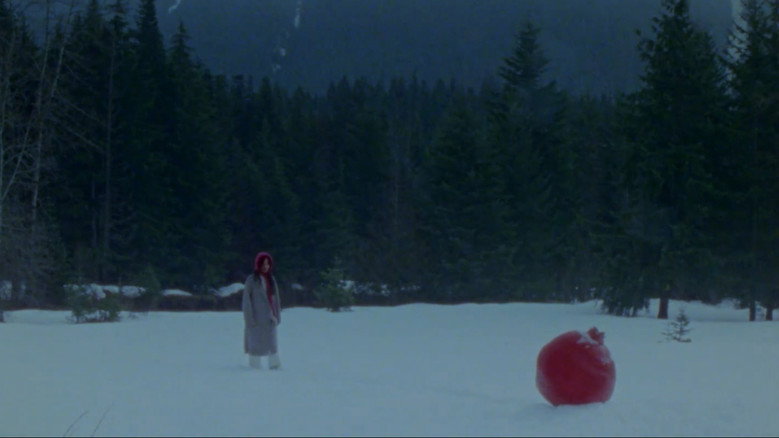 what does it feel like to live inside a pomegranate? still 3