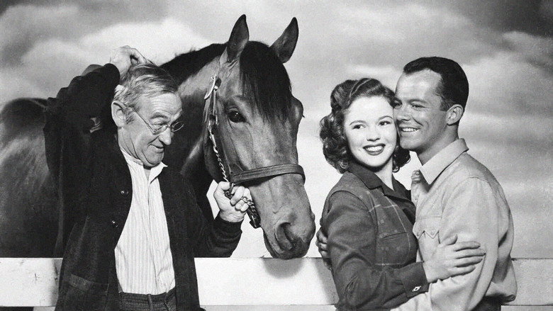 The Story of Seabiscuit still 1