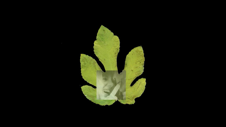 The Fig Tree still 1