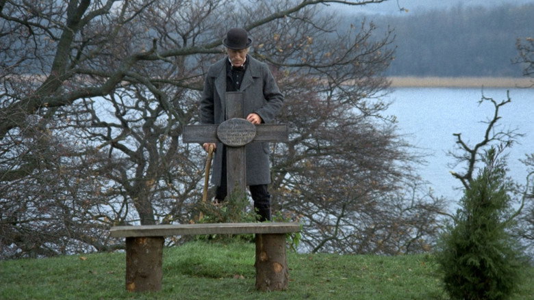 The New Land still 3
