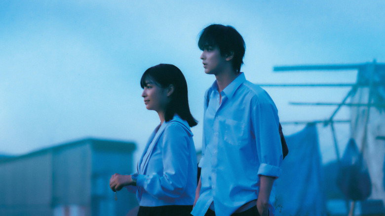 You, Like a Star still 2