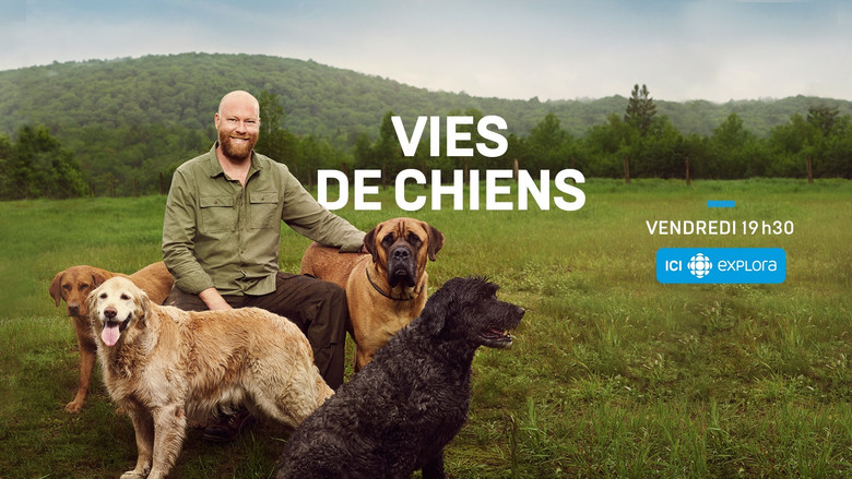Vies de chiens still 4