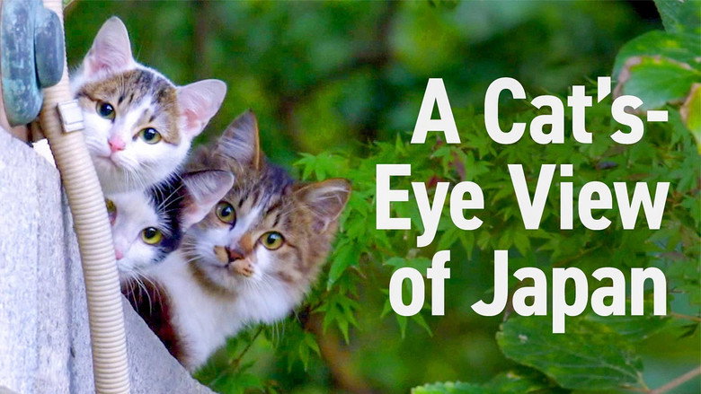A Cat's-Eye View of Japan still 2