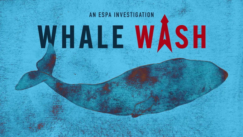 Whale Wash still 1