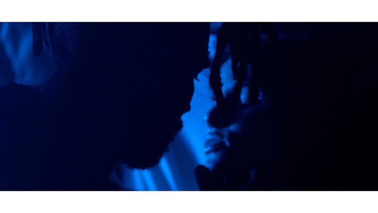 Sola still 2