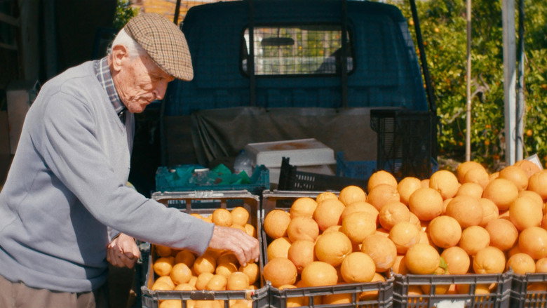 O Tempo De Comer Uma Laranja still 3
