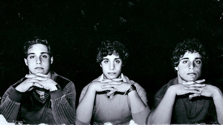 Three Identical Strangers still 1