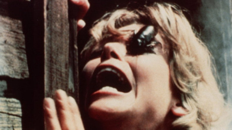 Bug still 5