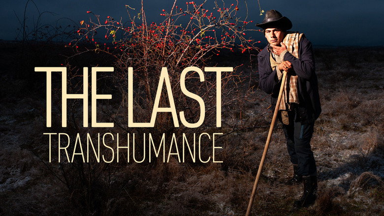 The Last Transhumance still 1