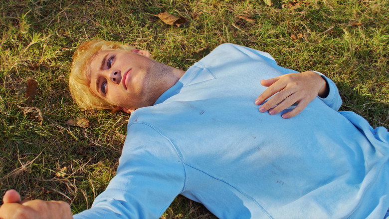 Blow Down still 4