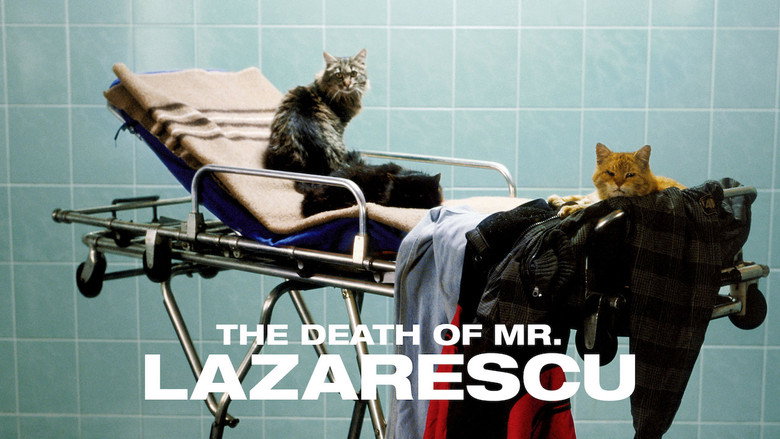 The Death of Mr. Lazarescu still 5