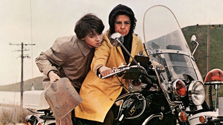 Harold and Maude still 2