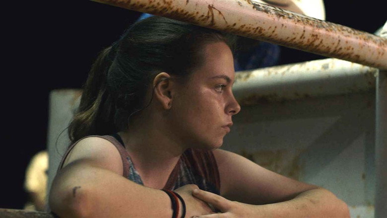 Bull still 3