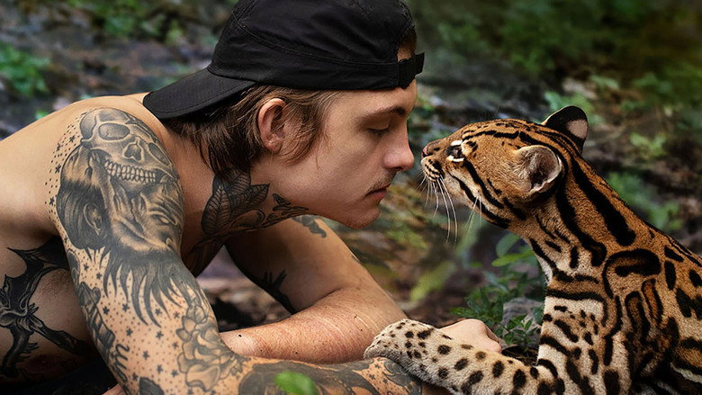 Wildcat still 5