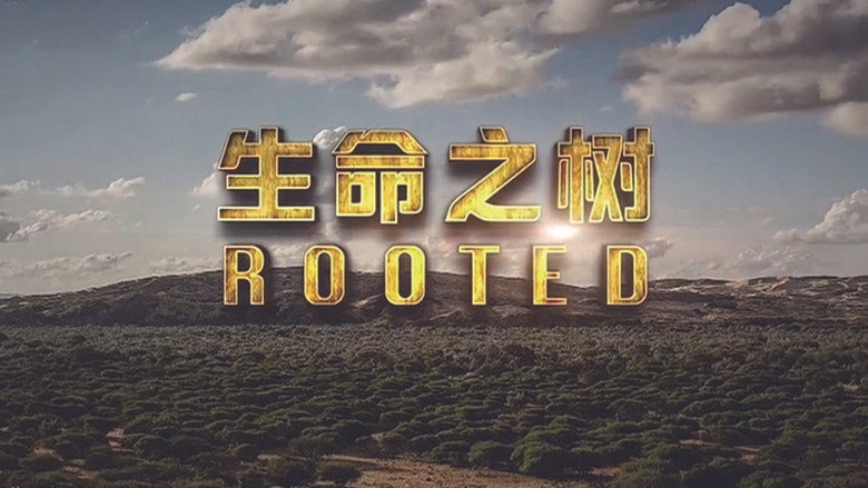 Rooted still 2