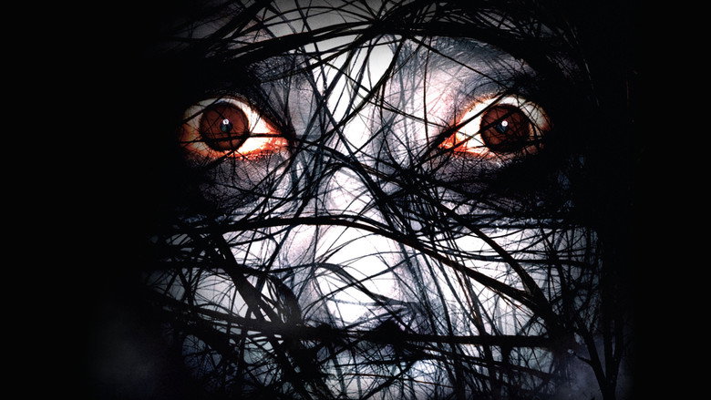 The Grudge 2 still 4