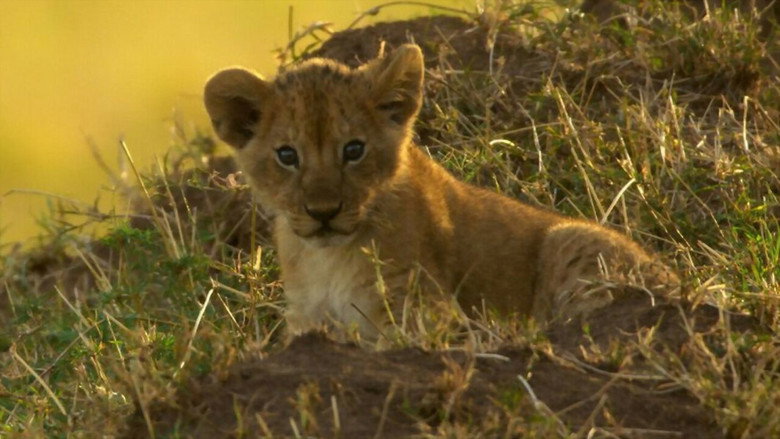Peur sur la savane still 1