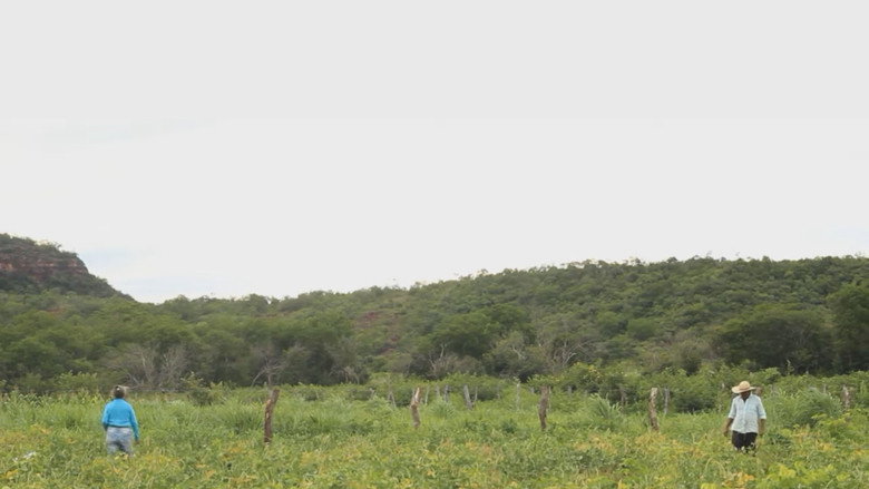 Antonico: Por Onde Andam os Migrantes Nordestinos? still 1