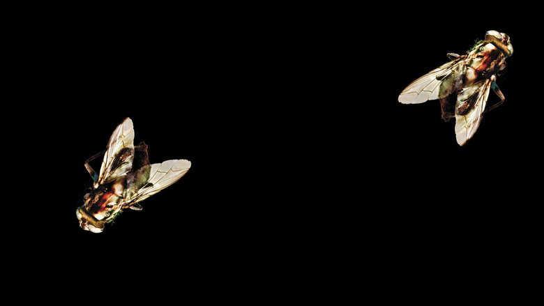 The Fly II still 7