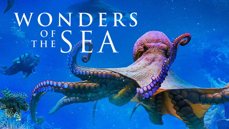 Wonders of the Sea still 4