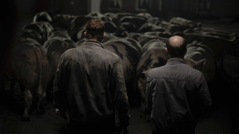 Bullhead still 6