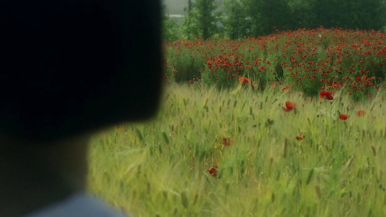 Consolation still 2