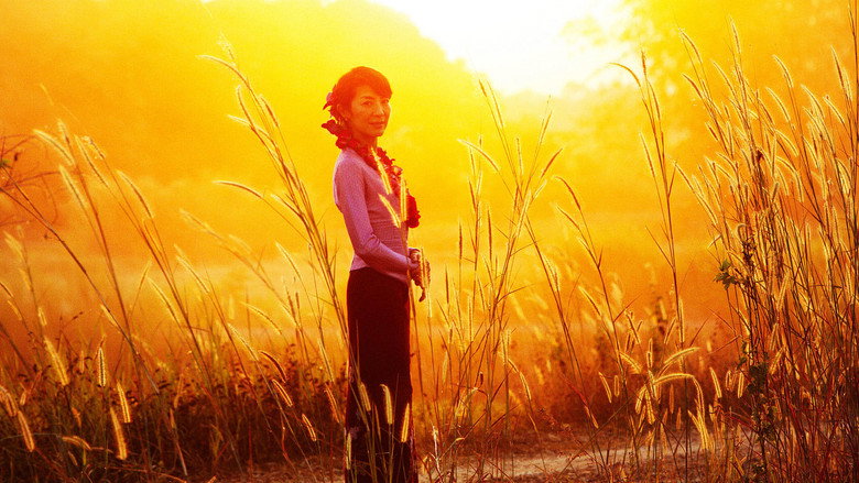 The Lady still 3