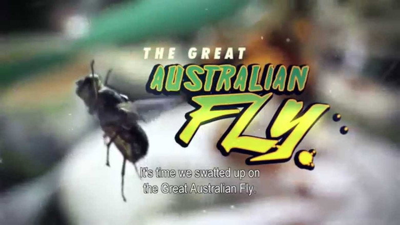The Great Australian Fly still 1