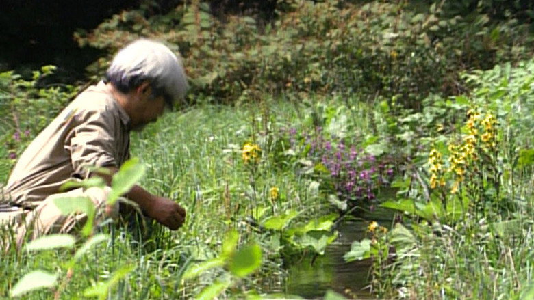 Miyazaki, Spirit of Nature still 7