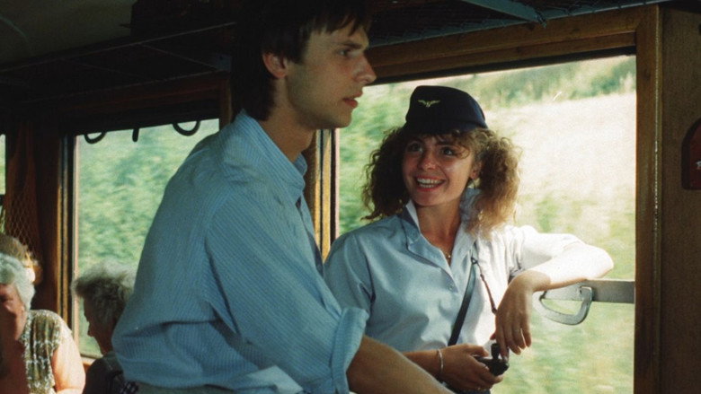 Sun, Hay, Strawberries still 3