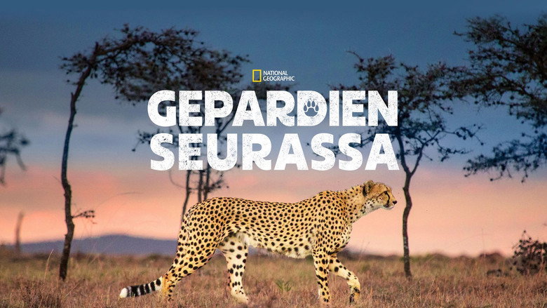 Man Among Cheetahs still 7