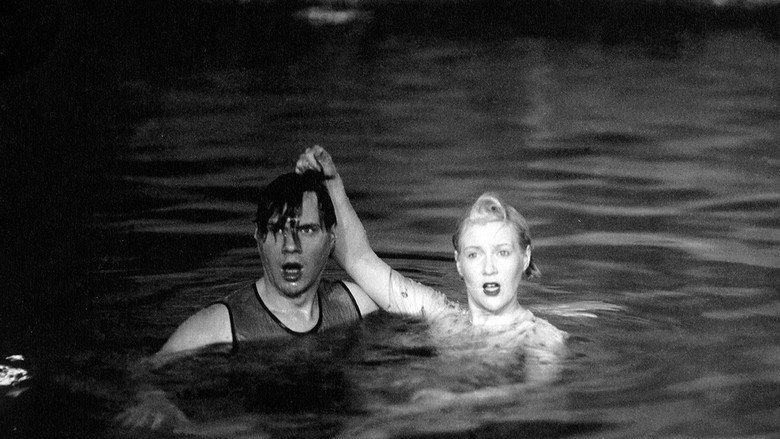 Volga - Volga still 7