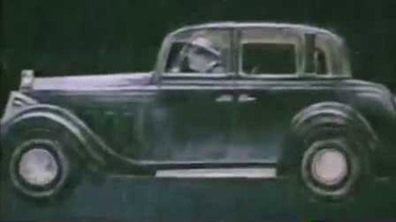 Night Bird still 1