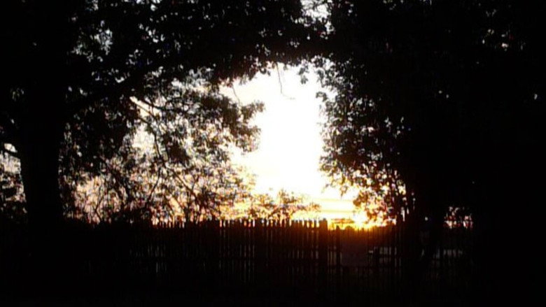 Garden Sanctuary still 1